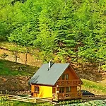 Dağ evi Hulanka Szczyrk